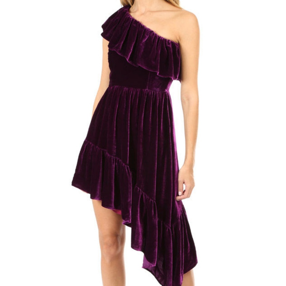 NWT Free People Cranberry Velvet Dress